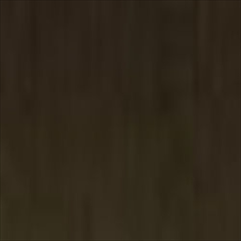 72043 Game Color 48 Paint- Beasty Brown