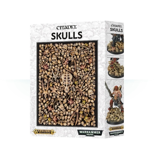 [64-29] CITADEL SKULLS