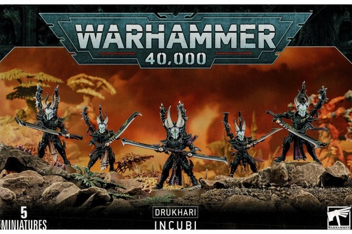 [45-40] DRUKHARI INCUBI