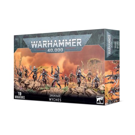 [45-08] DRUKHARI WYCHES